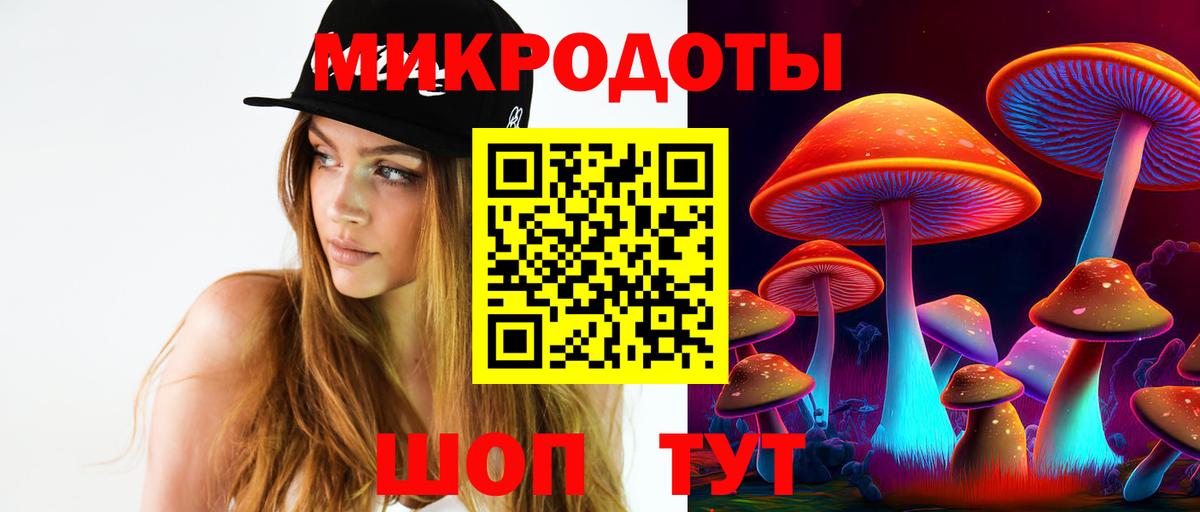 Галлюциногенные грибы Psilocybe  Вход с VPN  Псилоцибиновые грибы Psilocybine cubensis  Донецк 